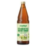 VOELKEL KOMBUCHA CITRON VERT ET GINGEMBRE 750ML