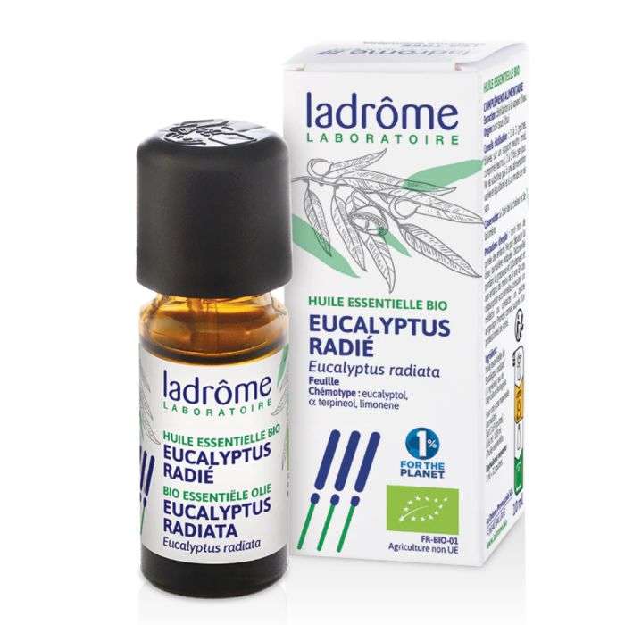 17464-1-ladrome-ladrome-huile-essentielle-bio-eucalyptus-radie-huiles-essentielles-1.jpg