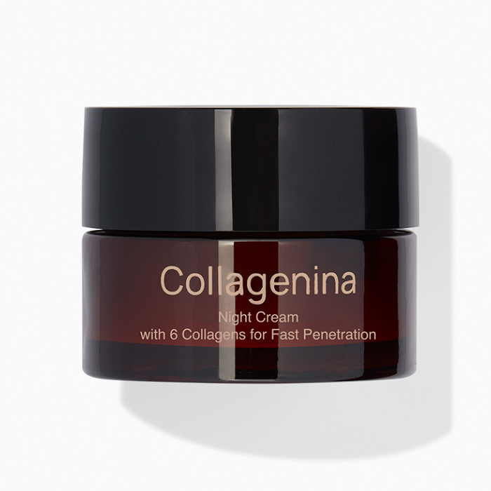 23068-1-collagenina-collagenina-night-cream-with-6-collagen-grade-2-50-ml-soins-anti-age-1.png