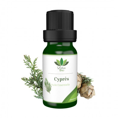 7187-2-lotus-bio-huile-essentielle-de-cypres-1.jpg